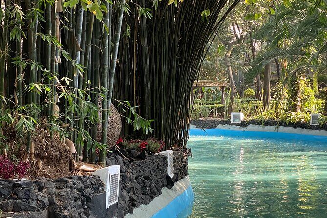 Your city, your way. Private Mexico City tour with a local expert - Practical Tips for Your Tour