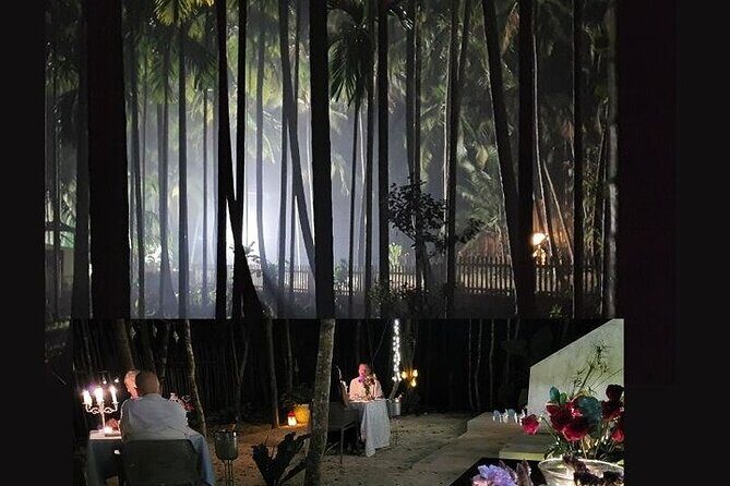 Your enchanting dining escape, awaits in a intimate Jungle haven - Key Points