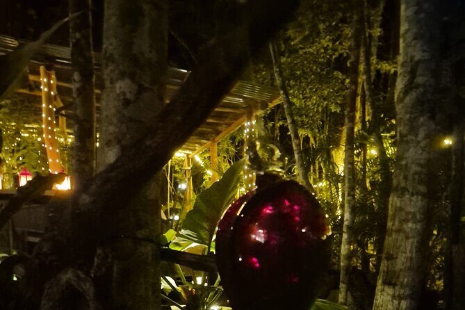 Your enchanting dining escape, awaits in a intimate Jungle haven - A closer look at the jungle dinner experience