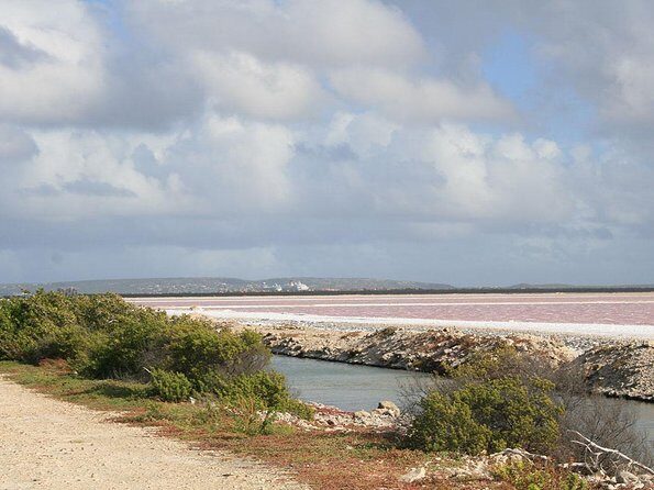 Your Guide Private Tour (North and South) Customize - A Closer Look at the Itinerary and Experience
