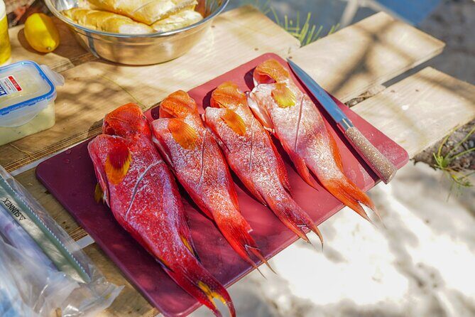 Your Island Voyage Mauritius Speed Boat Excursion With BBQ Lunch - Practical Details and Tips