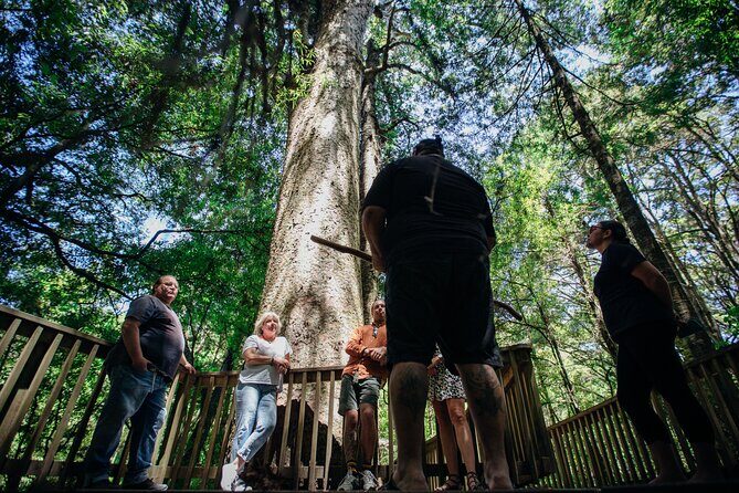Your Kiwi Cultural Connection with Tu Tika Tours - Authenticity and Testimonials