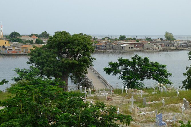 Your private driver & tour guide in Senegal-the shell island - An In-Depth Look at the Shell Island Tour