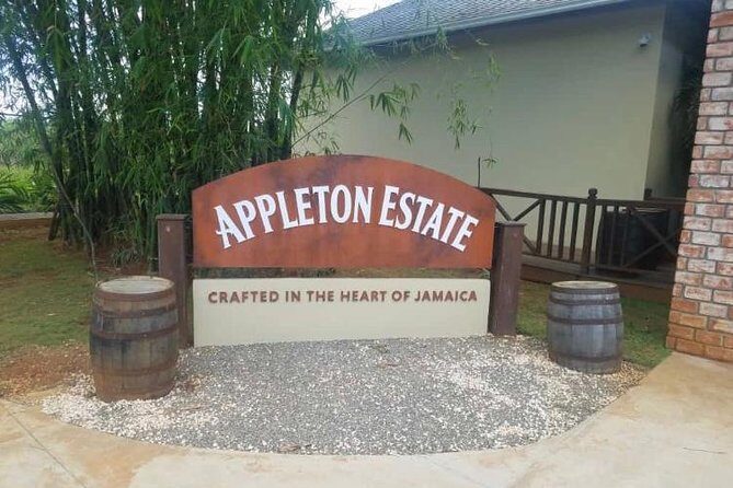 YS Falls and Appleton Estate Private Rum Tour - Why Choose This Tour?
