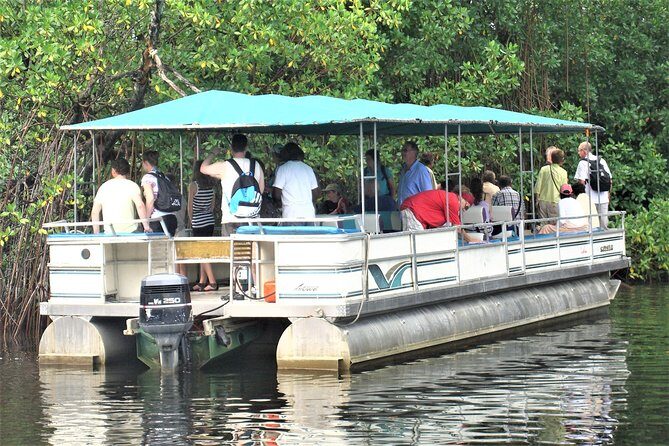 YS Falls and Black River Safari Guided Tour from Montego Bay and Grand Palladium - Authentic Experiences and Real Traveler Insights