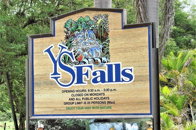 YS Falls and Black River Safari Guided Tour from Montego Bay and Grand Palladium - Who Will Love This Tour?