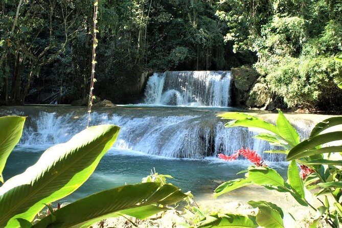 YS Falls and Black River Safari Guided Tour from Montego Bay and Grand Palladium - The Sum Up