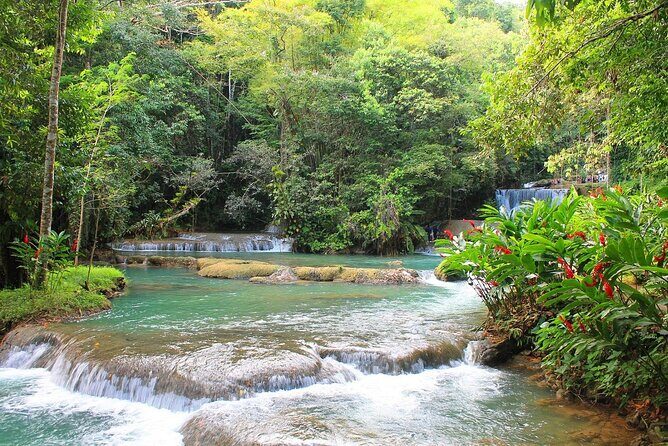 YS Falls and Black River Safari South Coast from Negril Jamaica - Key Points
