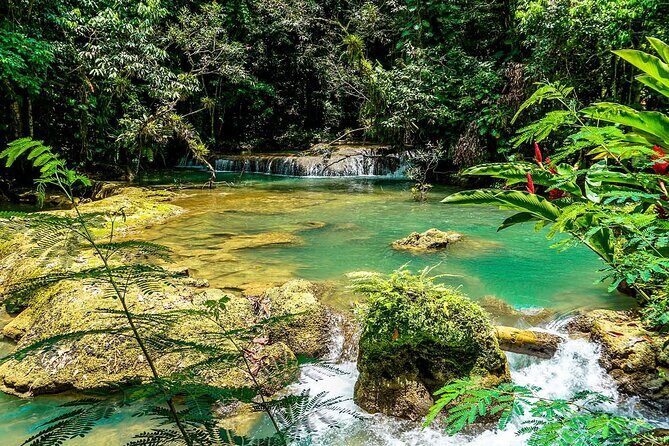 YS Falls and Black River Safari South Coast from Negril Jamaica - A Deeper Look at What to Expect
