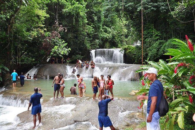 YS Falls and The Pelican Bar Adventure Tour from Negril - The Sum Up