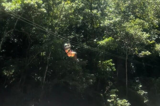 YS Falls, Black River Safari, Appleton Rum Tour OR Pelican Bar (Choose Up to 3) - Practical Tips