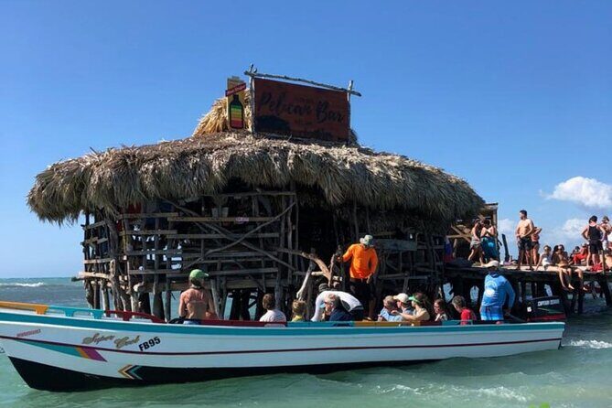 YS Falls, Black River Safari, Appleton Rum Tour OR Pelican Bar (Choose Up to 3) - Final Thoughts