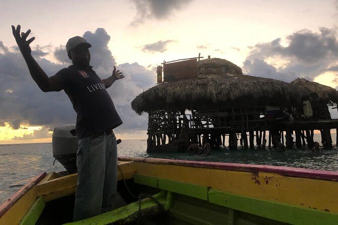 YS Falls, Black River Safari, Floyds Pelican Bar - Practical Details and What to Expect