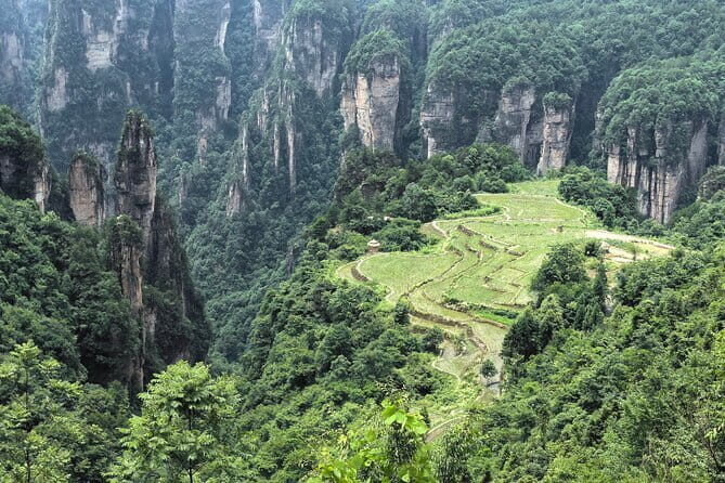 Yuanjiajie Avatar and Tianzi Mountain and Rice Field Village Tour - The Itinerary in Detail