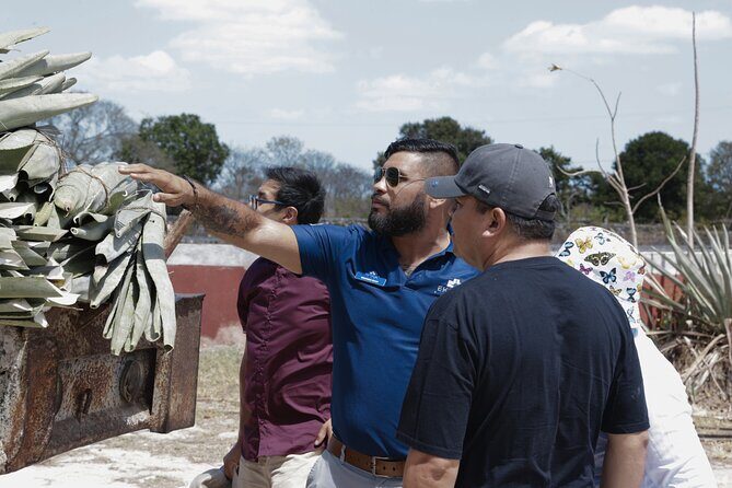 Yucatan Discovery: Motul, Hacienda, Xcambo, Xtampu & Progreso - The Sum Up: Is this Tour Right for You?