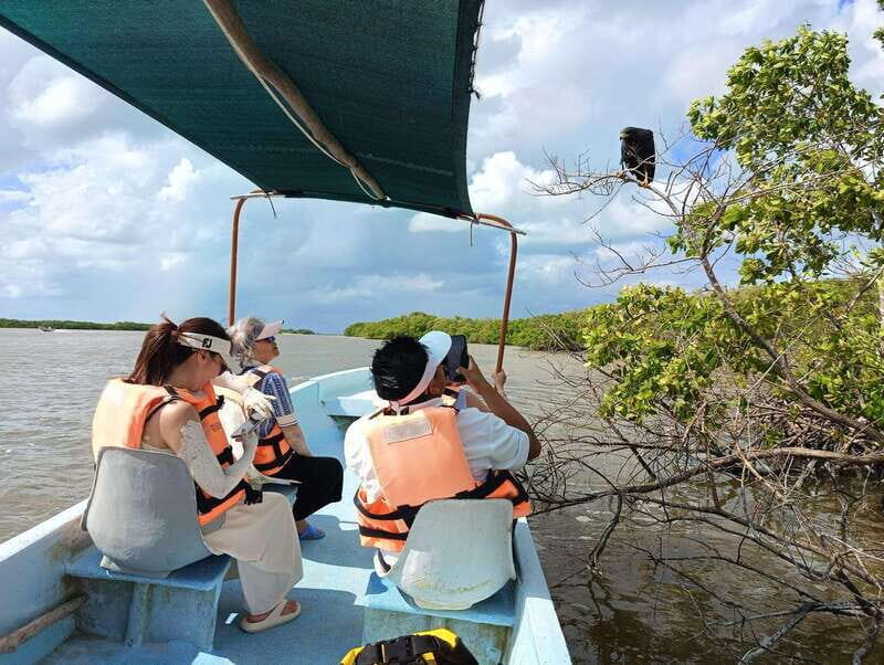 Yucatán: Río Lagartos Biosphere Reserve Boat Tour - Discovering Río Lagartos