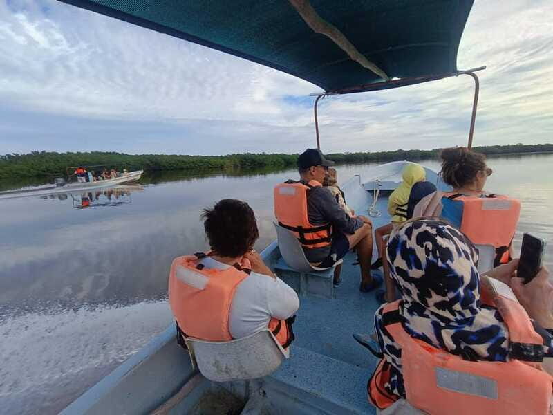 Yucatán: Río Lagartos Biosphere Reserve Boat Tour - Final Thoughts: Is This Tour Right for You?