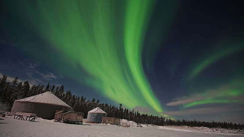 Yukon: Aurora Borealis Late Night Viewing Tour - An Authentic Yukon Experience with a Focus on Comfort