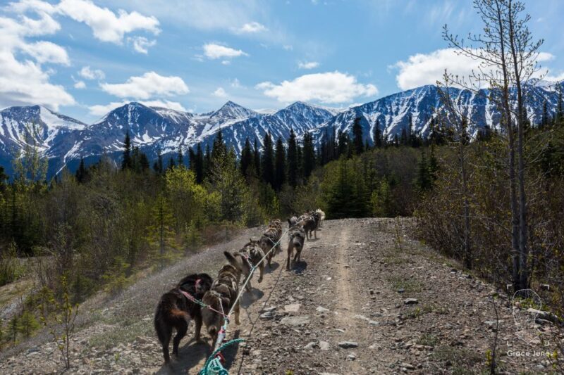 Yukon Dogs and Gold - FAQ