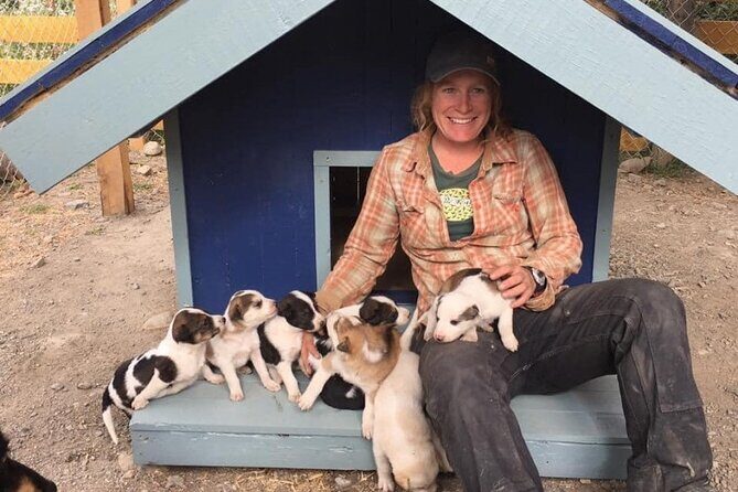 Yukon Husky Puppy Play Time & Summit Tour - FAQ