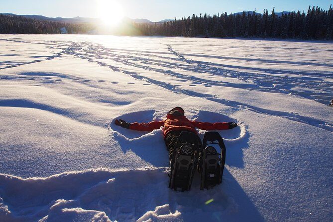 Yukon Snowshoeing Adventure | half day - The Itinerary: What to Expect