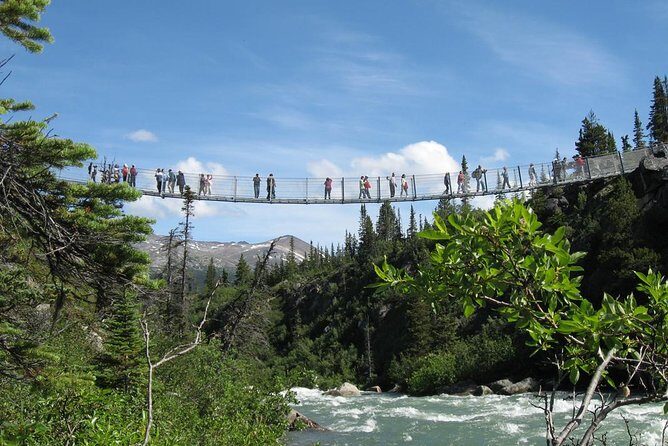 Yukon Suspension Bridge and Summit Tour - What is the Yukon Suspension Bridge and Summit Tour?