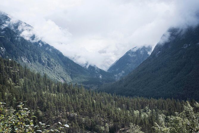 Yukon Suspension Bridge and Summit Tour - What Travelers Say