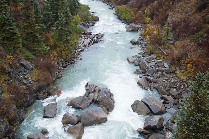 Yukon Suspension Bridge and Summit Tour - The Value of This Tour