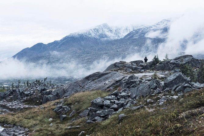 Yukon Suspension Bridge and Summit Tour - Who Should Consider It?