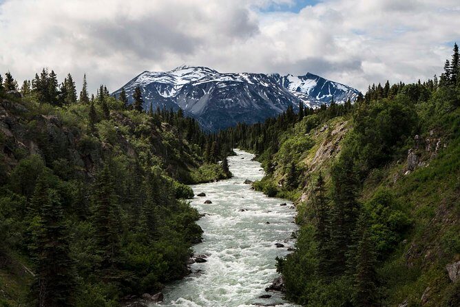 Yukon Suspension Bridge and Summit Tour - The Sum Up
