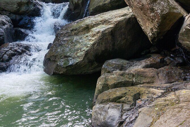 Yunque & Piñones Tour Hike Eat & Adventure with a Local; San Juan - Final Thoughts