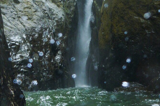 Yunque & Piñones Tour Hike Eat & Adventure with a Local; San Juan - FAQs