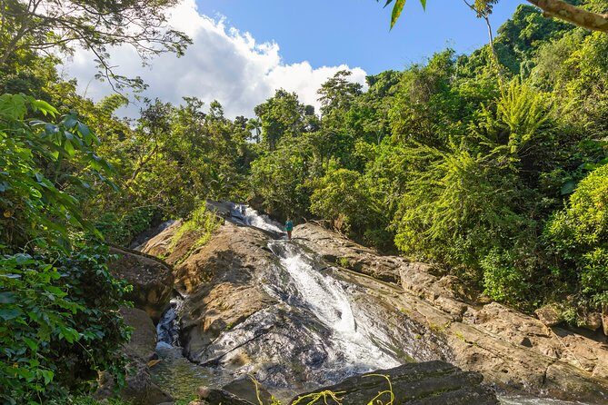 Yunque Rainforest River Rope Swing with Waterslide and Beach Tour - Who Should Book This Tour?
