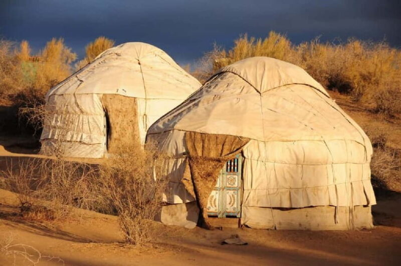 Yurt Camp Tour with Night from Bukhara - What the Reviews Say