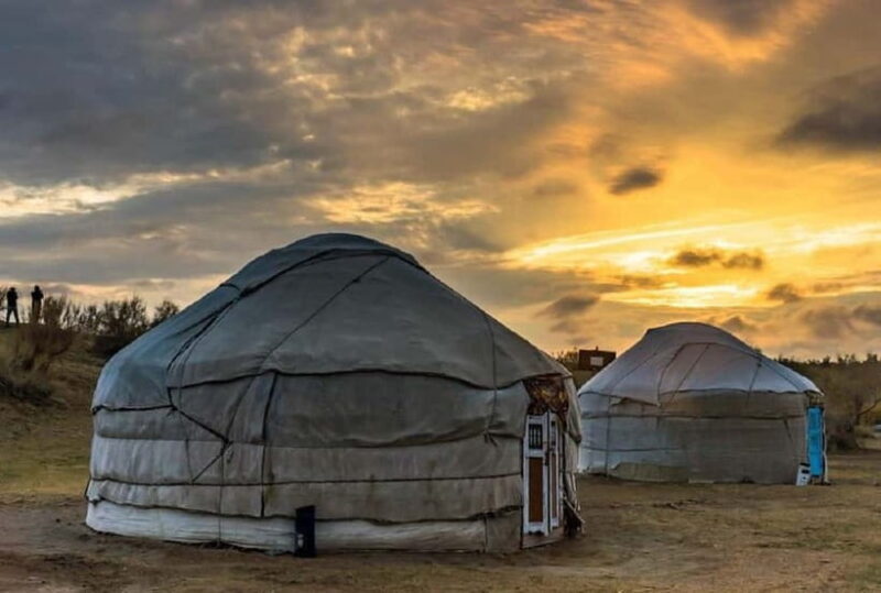 Yurt Camp Tour with Night from Bukhara - The Sum Up: Who Is This Tour Perfect For?