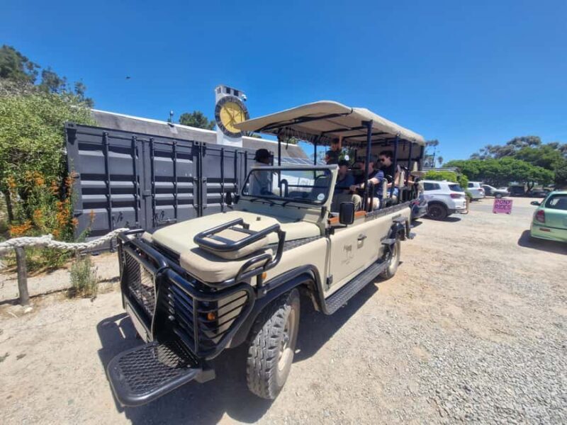 Yzerfontein: Safari at West Coast Private Game Reserve - Key Points