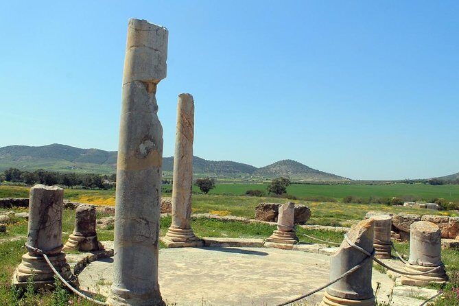 Zaghouan, Thuburbo Majus and Dougga Private Self-Guided Excursion from Hammamet - What Travelers Say