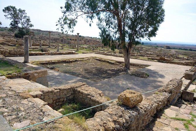 Zaghouan, Thuburbo Majus and Dougga Private Self-Guided Excursion from Hammamet - The Sum Up