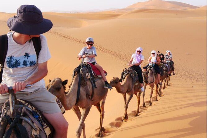 Zagora 2 Day Desert Safari and Luxury Camp From Marrakech - The Itinerary in Detail