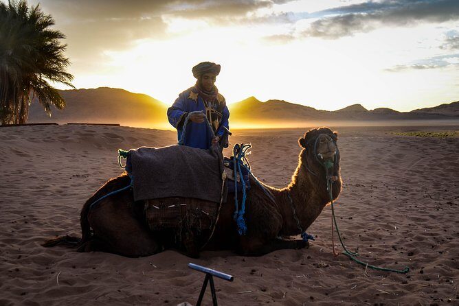 Zagora Desert: 2-Day Trip from Marrakesh - A Detailed Look at the 2-Day Marrakech to Zagora Desert Tour