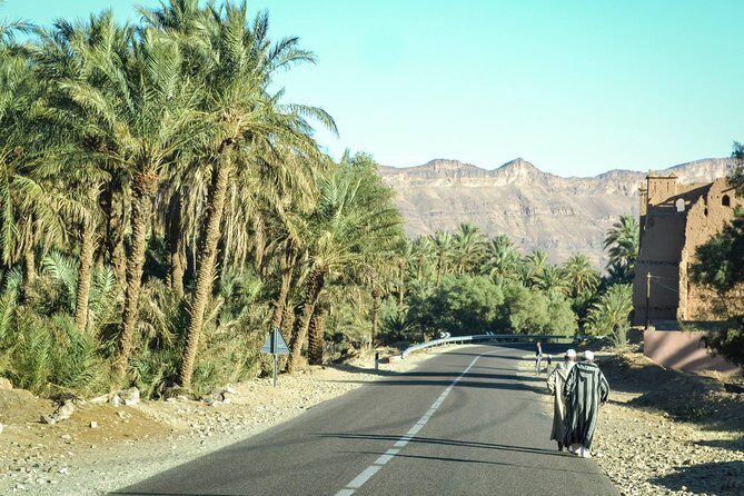 Zagora Desert and Draa Valley Day Trip From Ouarzazate - Exploring the Itinerary: What You Can Expect