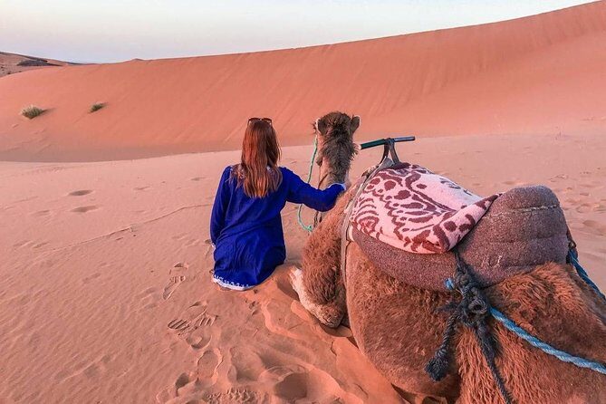 Zagora Desert Tour 1 night&2 days from Marrakech - The Full Breakdown of the Itinerary