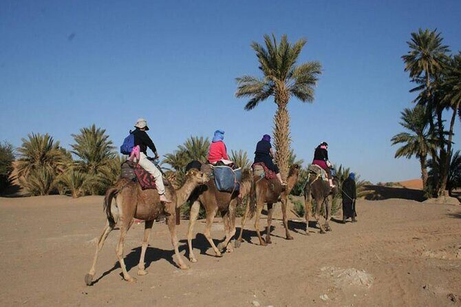 Zagora & Kasbahs 2 Day Desert Tour from Marrakech - FAQ