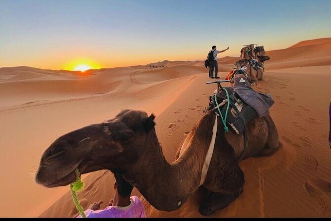 Zagora Mhamid, 3 Days Tour to Erg Chigaga Desert from Marrakech - From Zagora to the Dunes of Chegaga
