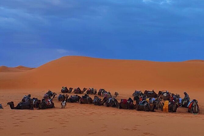 Zagora Mhamid, 3 Days Tour to Erg Chigaga Desert from Marrakech - Authentic Experiences & Highlights