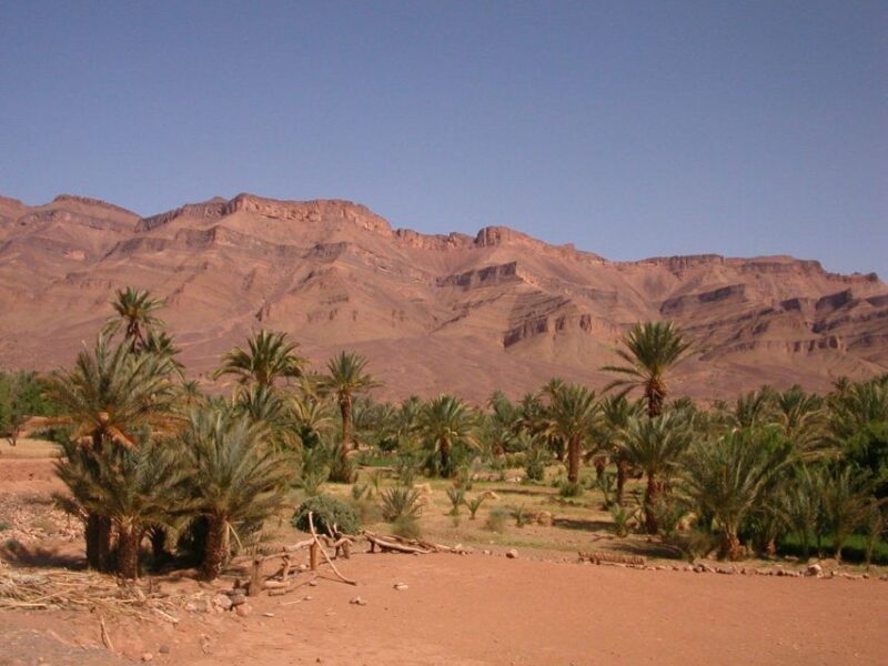 Zagora Sahara Desert Overnight Trip from Ouarzazate - Key Points