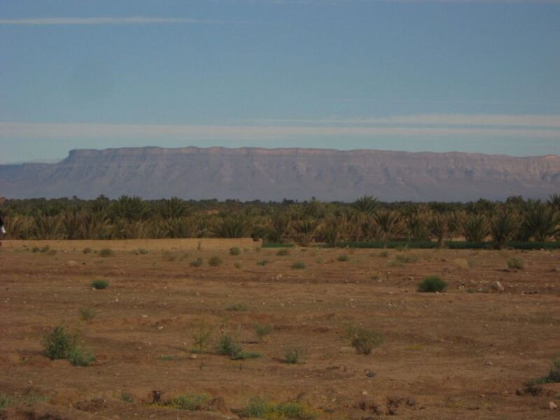 Zagora Sahara Desert Overnight Trip from Ouarzazate - Who Will Enjoy This Tour?