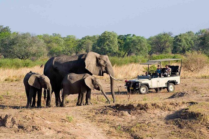 Zambezi National Park AM or PM Game Drive - Exploring the Zambezi National Park Game Drive