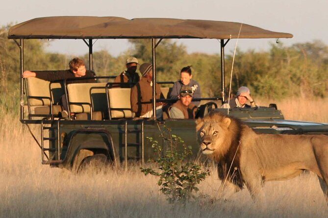 Zambezi National Park AM or PM Game Drive - Who Should Consider This Tour?