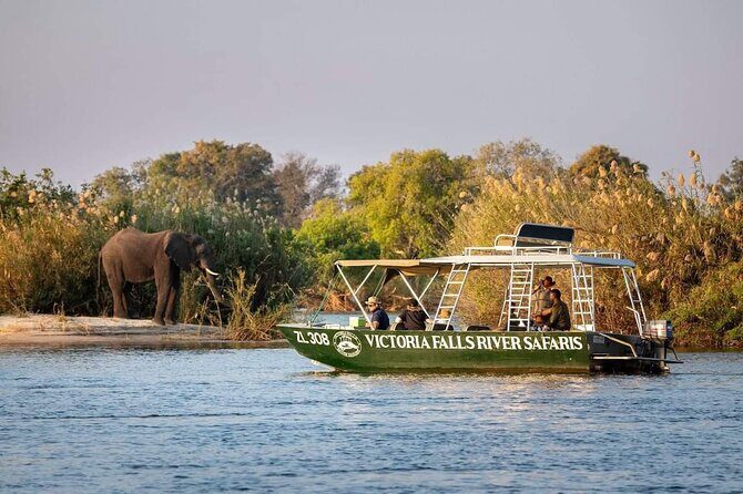 Zambezi River Safari - Key Points